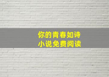 你的青春如诗 小说免费阅读